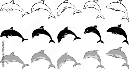 dolphin - clip art illustration and line art