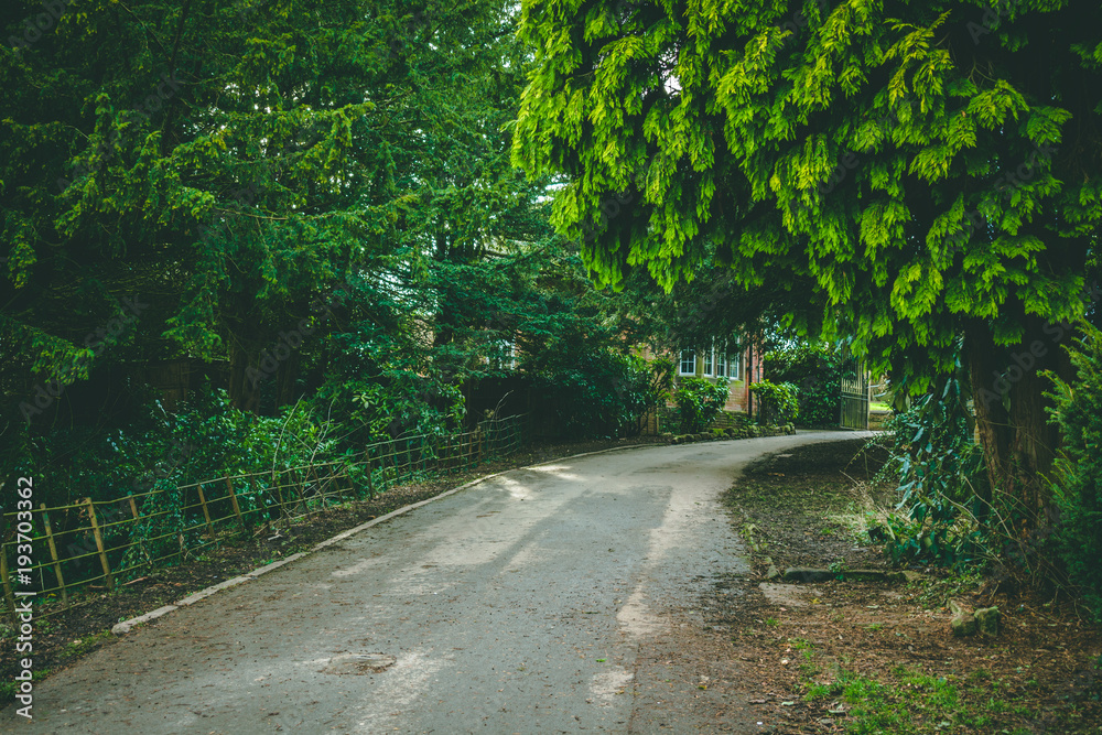 Fototapeta premium Nature