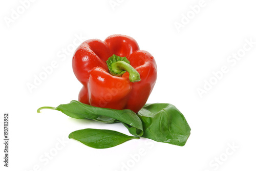 Isolate red paprika on leaves of a green basil