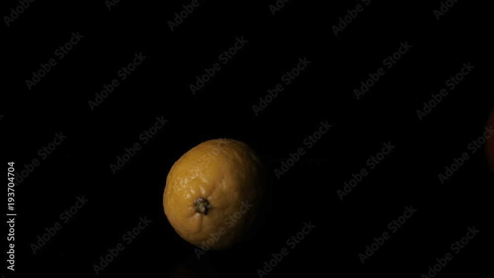 Lemon, black background. Lemon, black background.