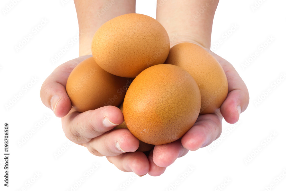 Group of eggs on woman hands with white isolate background. Food ingredient. Group of eggs on woman hands with white isolate background. Food ingredient.