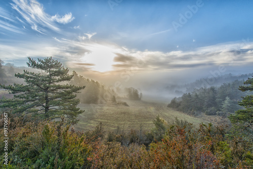 Obraz na plátně LANDSCAPE  CAUSSE DE SAUVETERRE