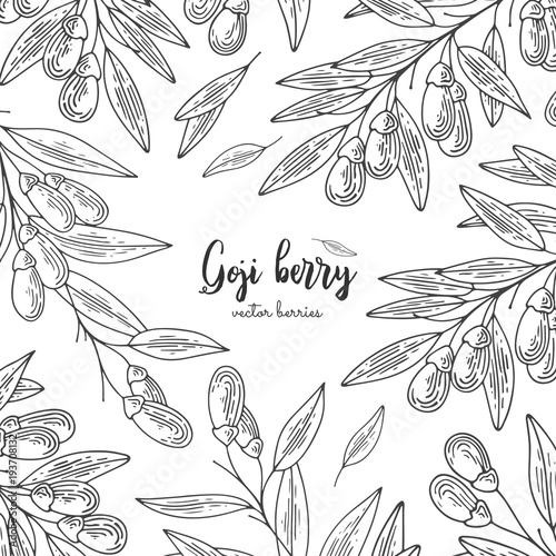 Detailed frame with goji berry. Isolated hand drawn illustration on white background. Design elements for menu, promotion, advertising, cards, wrapping paper, cosmetics packaging. photo