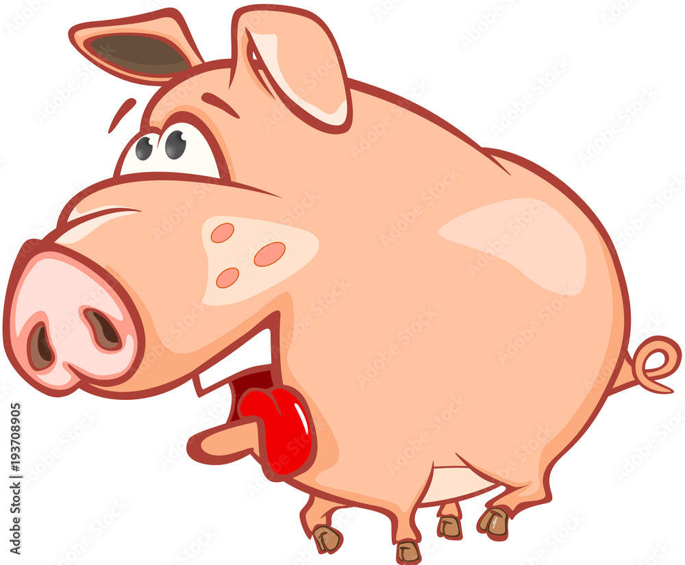 Illustration of a Cute Pig. Cartoon Character Illustration of a Cute Pig. Cartoon Character