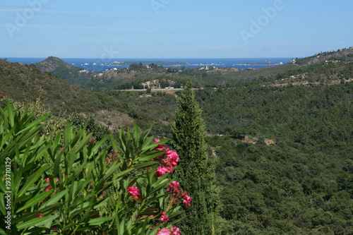 côte d'azur 1