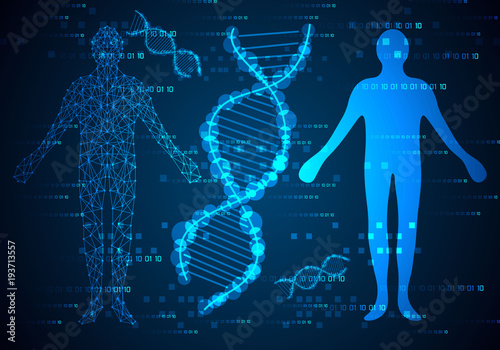 abstract science concept humans body digital link and DNA hi tech on binary background,The modernization of technology transmits information into the digital body via DNA.