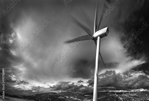 Generatori eolici lungo lo Stretto di Gibilterra
(vicino a Tarifa)