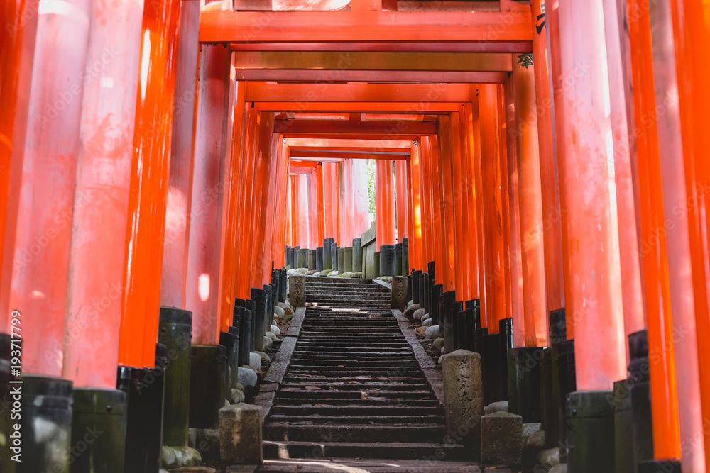Fushimi Inari Shrine, shrine, Torii Fushimi Inari Shrine, shrine, Torii