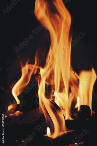 Close up of burning firewood in the fireplace