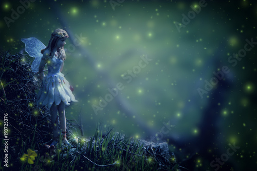 image of magical little fairy in the night forest. © tomertu