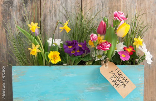 Mothers day gift flowers
