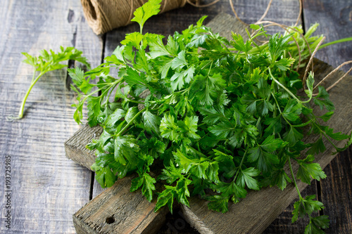 Sprigs of fresh parsley on the rustic kitchen table with copy space.