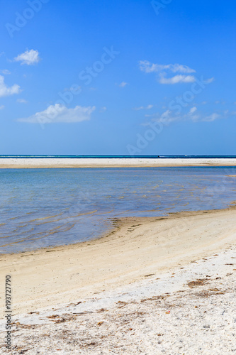 Honeymoon Island