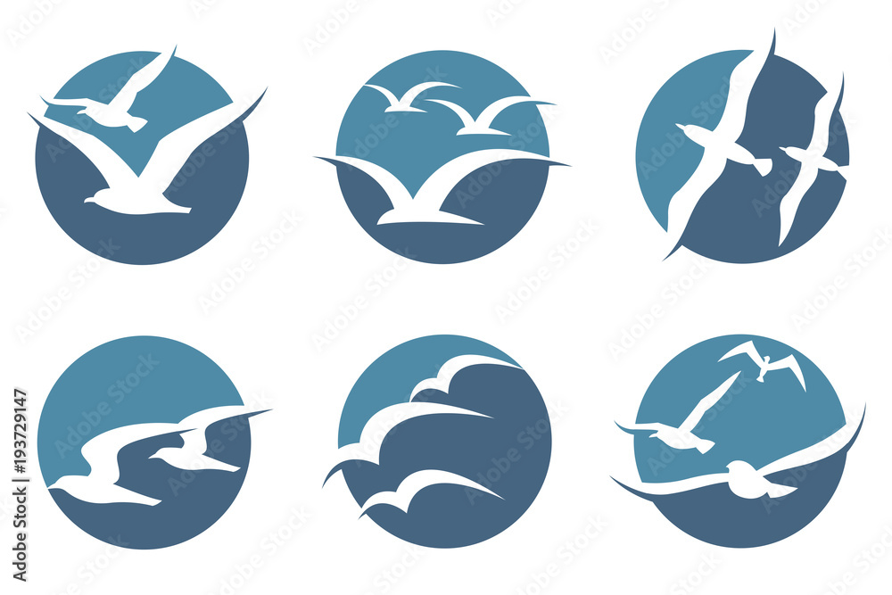 collection of icon with flying seagull silhouettes