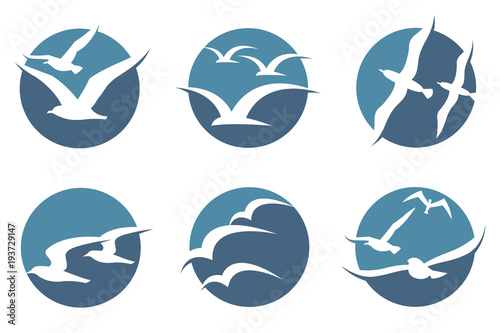 collection of icon with flying seagull silhouettes