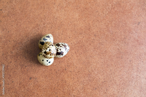 four quail eggs on a brown background. copy space photo