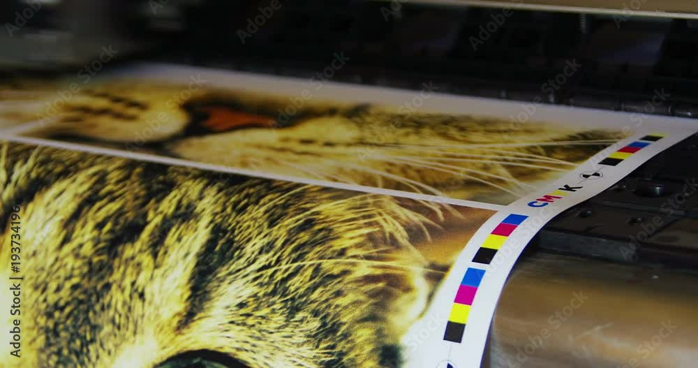 Inkjet plotter printing funny cat picture. Digital cmyk print process in loop seamless animation.