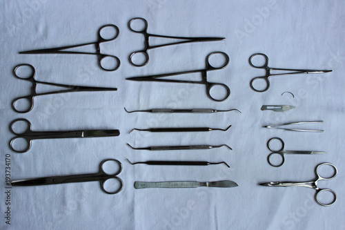 surgical instruments and tools including scalpels, forceps and tweezers arranged laid out on a blue fabric after washing to dry for a surgery. veterinary clinic