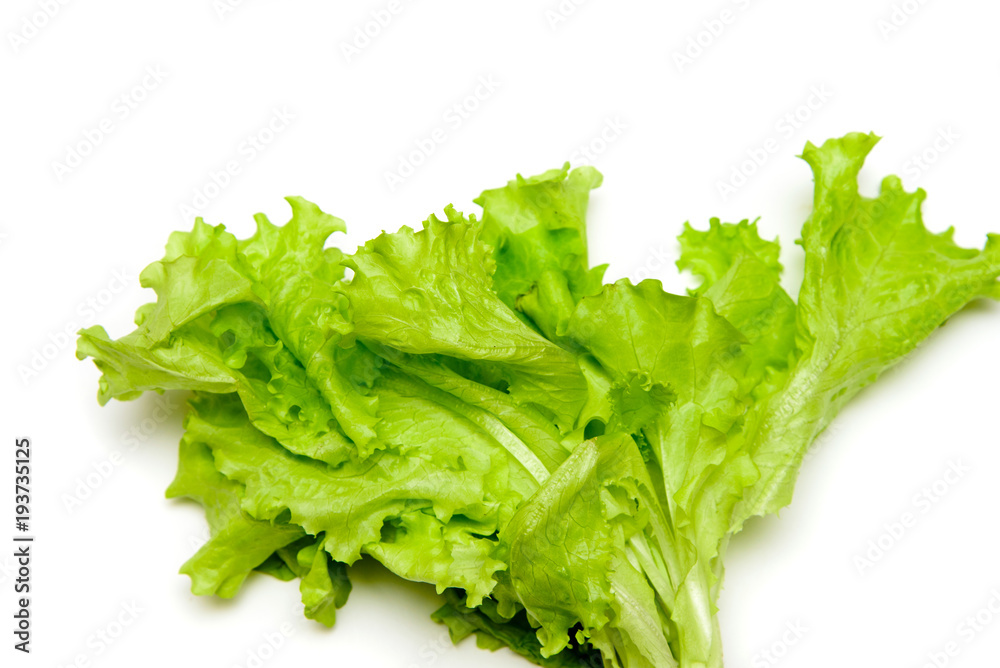 Freshness green lettuce salad. Freshness green lettuce salad.