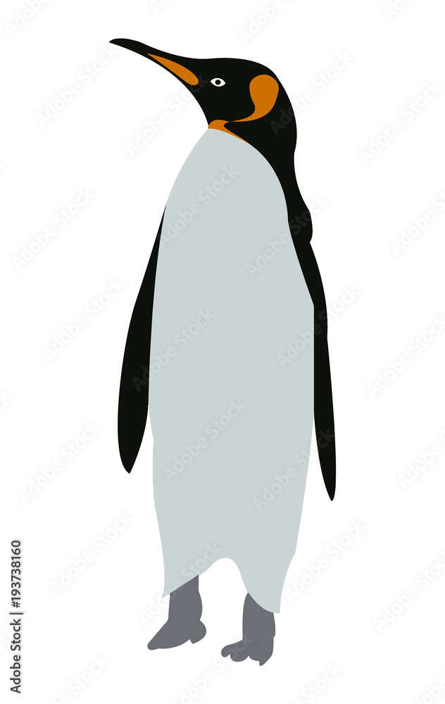 Naklejka premium King emperor penguin flat cartoon illustration