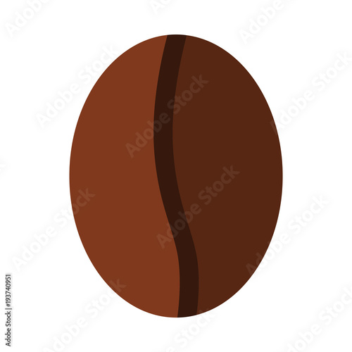 Flat coffee bean on white background