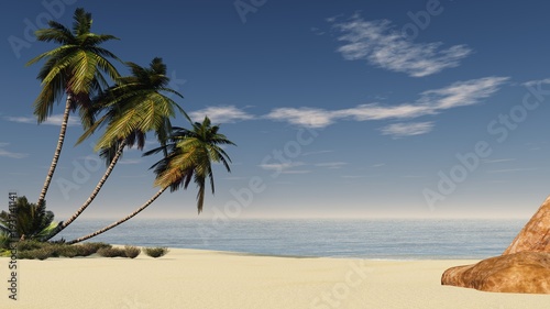 Fototapeta Naklejka Na Ścianę i Meble -  Three palms on the beach