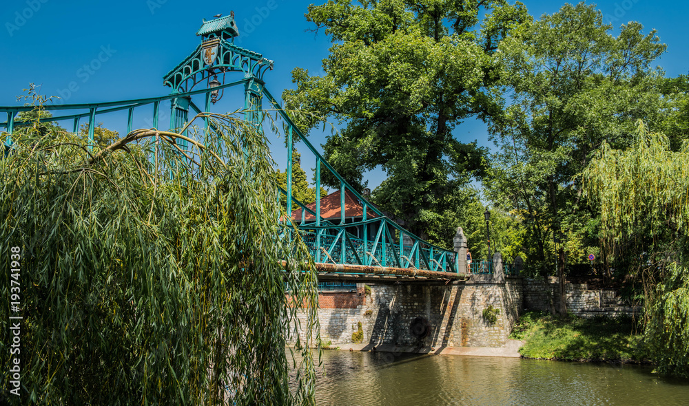 Fototapeta premium Zielony mostek