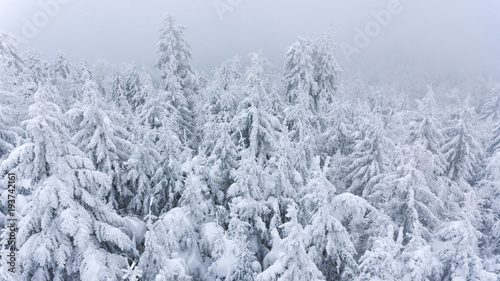 Aerial view of snow covered forest covered with mist.