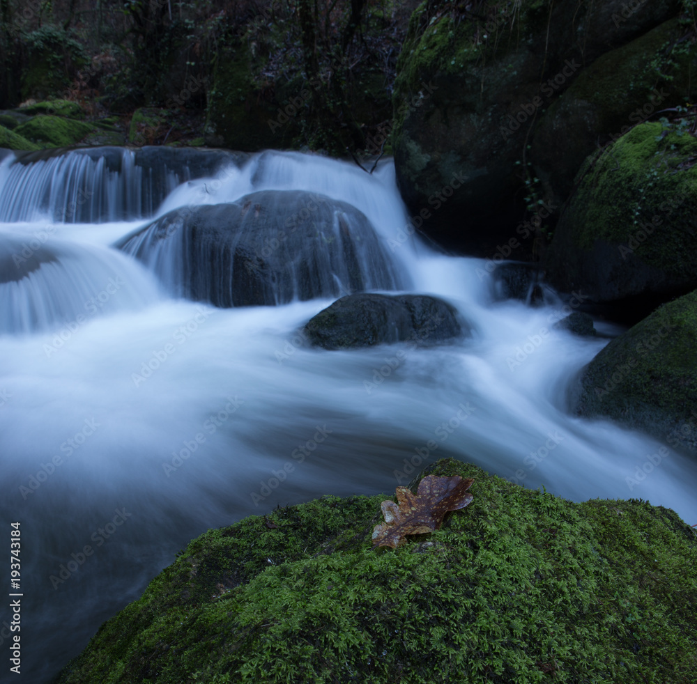 Fototapeta premium Waterfall