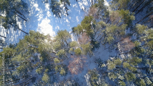 Fototapeta Naklejka Na Ścianę i Meble -  Aerial view of winter frozen forest covered in snow
