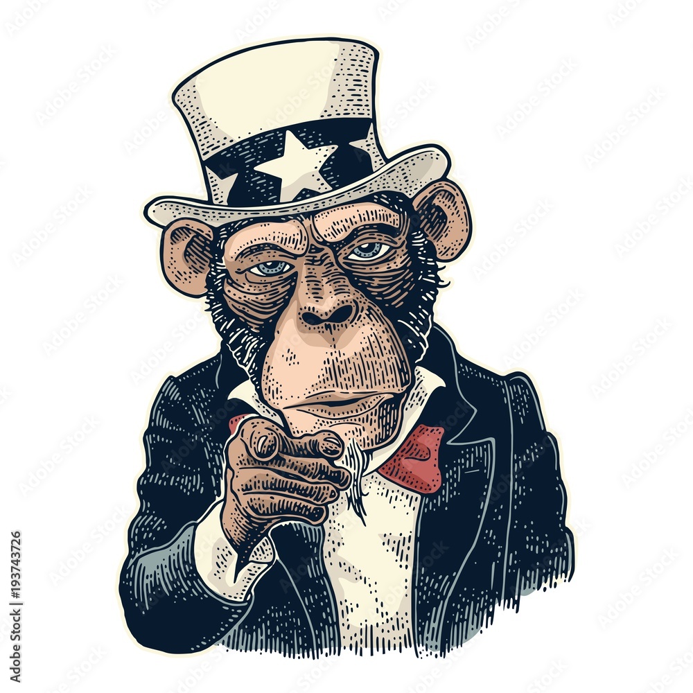 Naklejka premium Małpa wujek Sam z palcem wskazującym na widza. Grawerowanie vintage