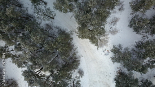 Aerial view of winter frozen forest covered in snow