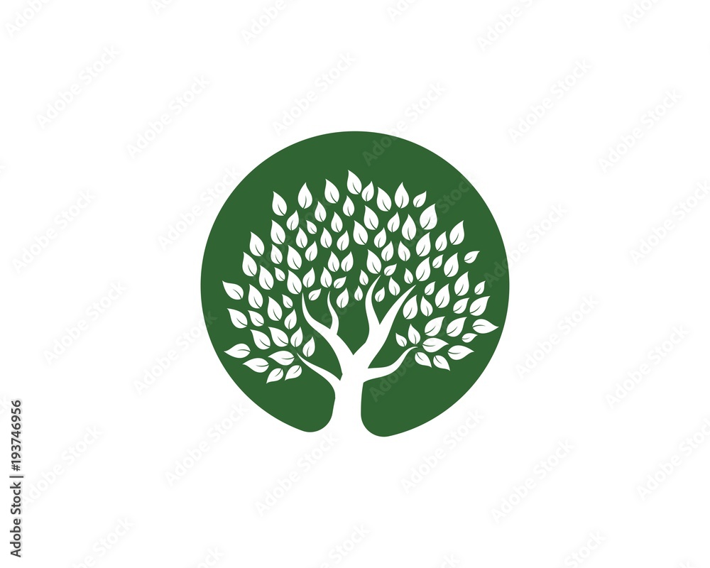 Obraz premium Tree icon logo template
