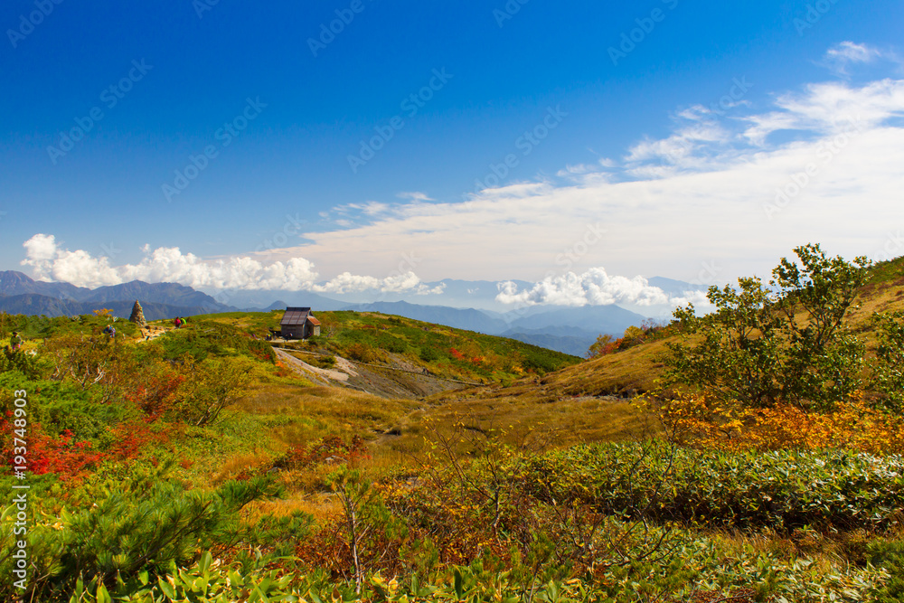 Obraz premium 白馬八方尾根の紅葉／長野県白馬村