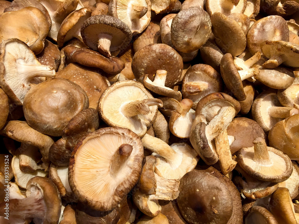 Shiitake mushrooms on display in a produce store Shiitake mushrooms on display in a produce store