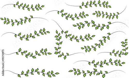 leaf vector drdawing set