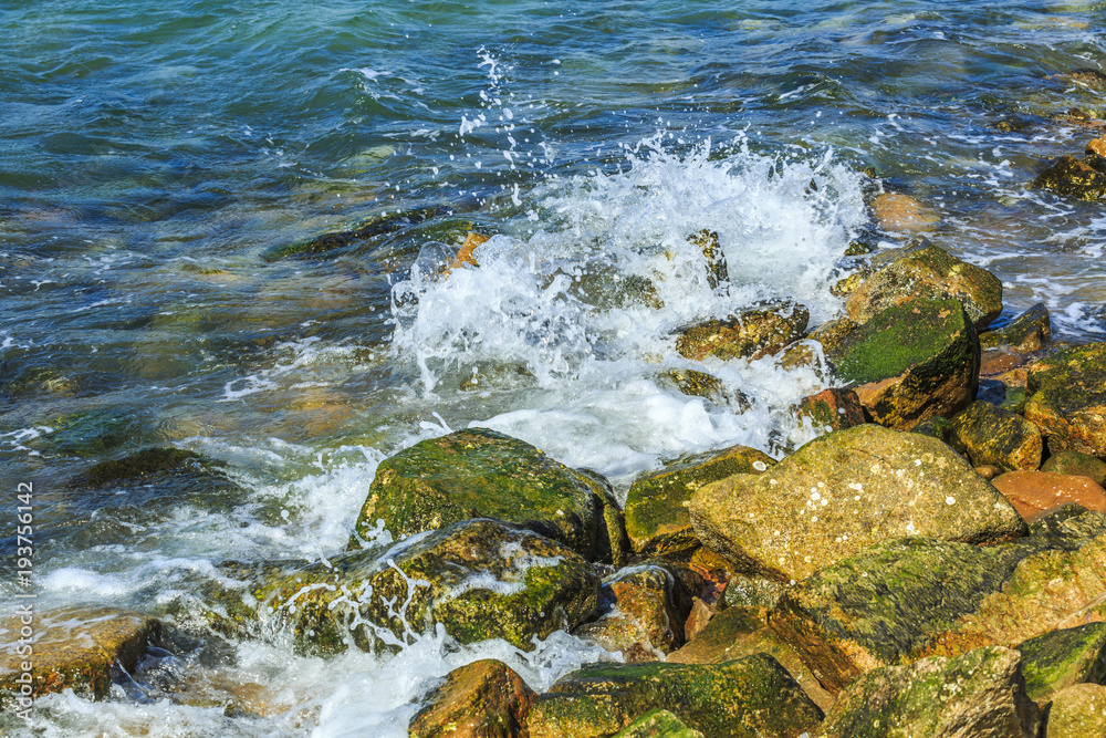 Obraz premium Island Ocean