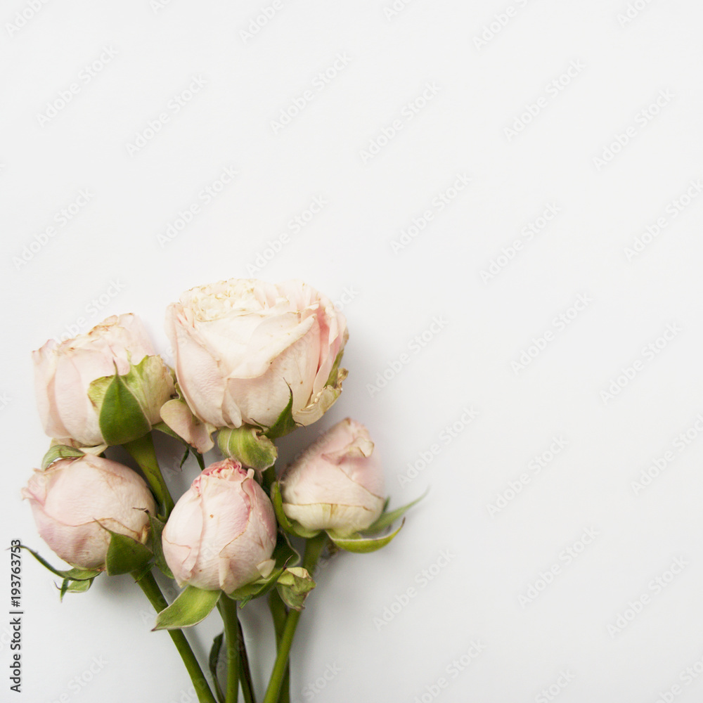 Bouquet of pink roses on a white background with copy space. Flat lay
