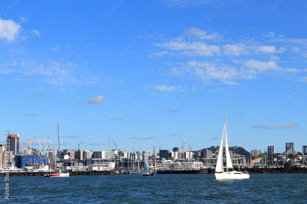 sailing boats floating in Auckland harbor