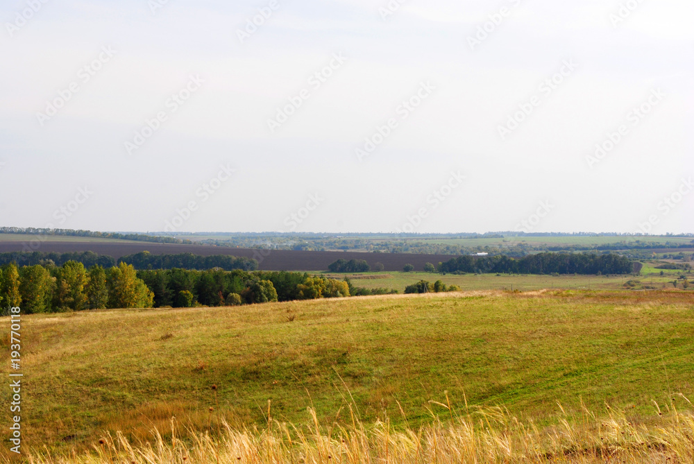 Meadow on the hills, forest and countryside in the horizon, summer in Ukraine