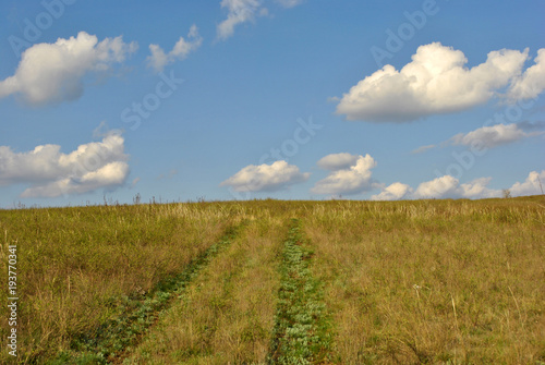 Rolled country road on dry grass meadow on the hill  cloudy sky  the spring sunny day  Ukraine