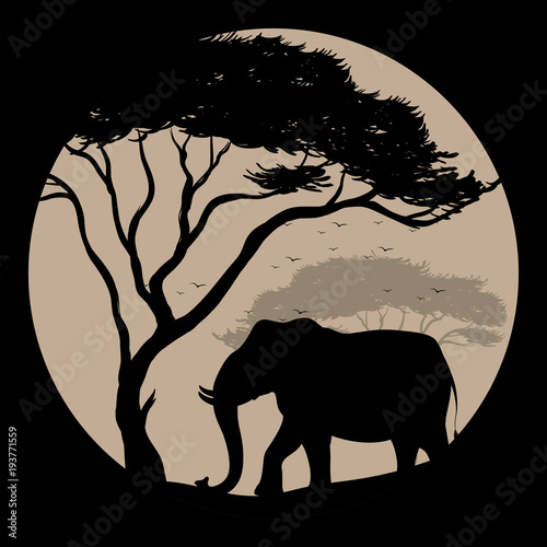 Silhouette scene with elephant and tree