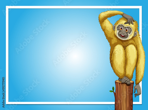 Border template with white gibbon