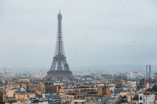 Fototapeta Naklejka Na Ścianę i Meble -  Eiffel tower in Paris - France.