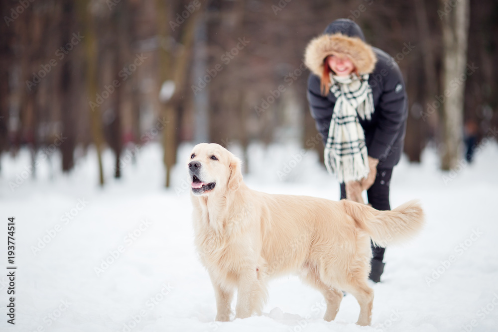 Picture of woman on walk with labrador in snowy park