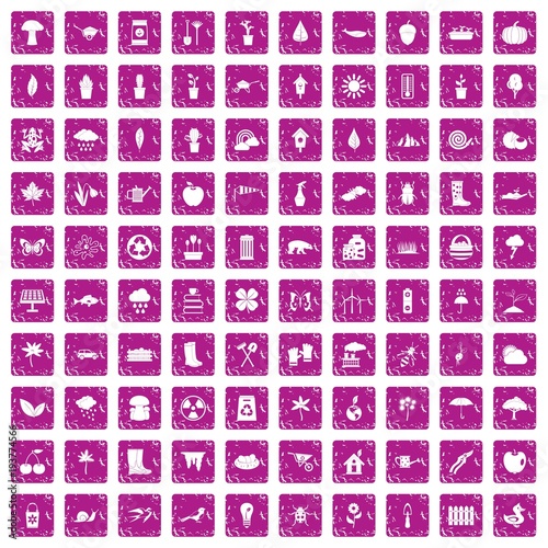 100 garden stuff icons set grunge pink