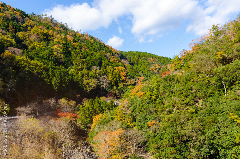 beautiful mountain view in autumn color season with blue sky in Arashiyama, Kyoyo, Hozukyo Station, Japan, , travel landscape and nature concept, soft focus beautiful mountain view in autumn color season with blue sky in Arashiyama, Kyoyo, Hozukyo Station, Japan, , travel landscape and nature concept, soft focus