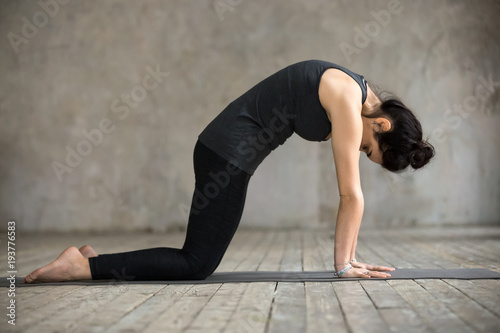 Young woman practicing yoga, doing asana paired with Cow Pose on the inhale exercise, Cat, Marjaryasana pose, working out, wearing black sportswear, indoor full length, gray wall in yoga studio