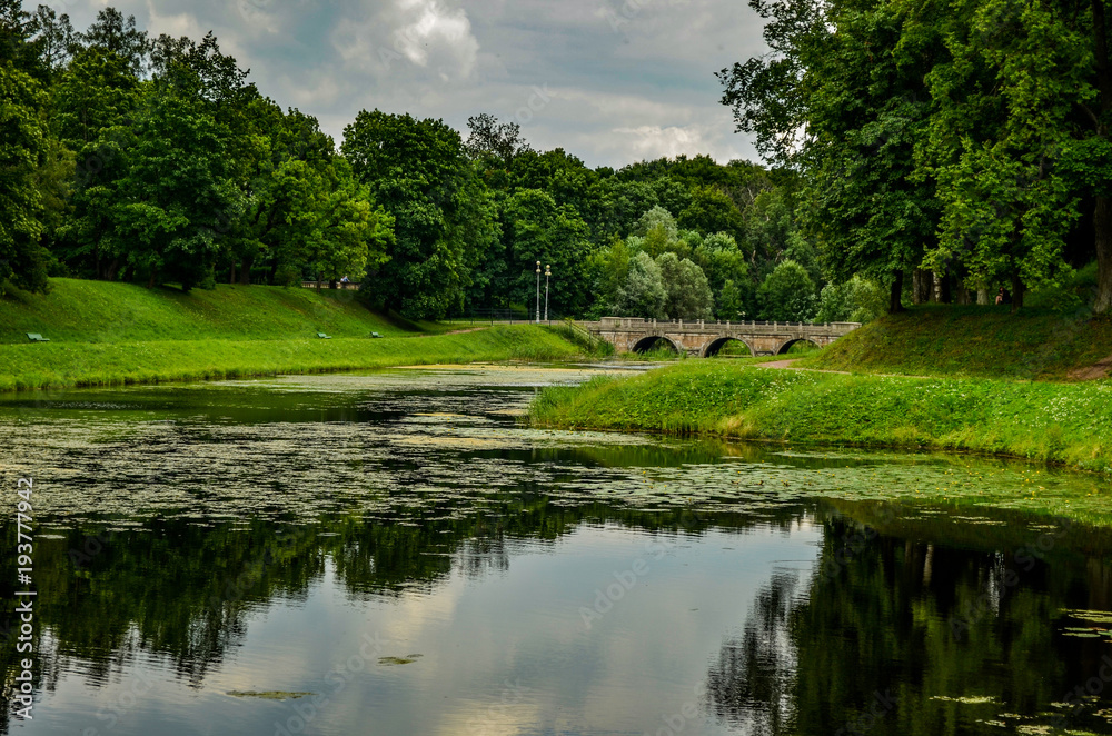 Fototapeta premium Walking Park