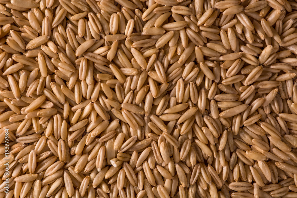 Fresh peeled oats - the idea for a background Fresh peeled oats - the idea for a background